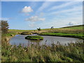 Pond at Saughy Rigg