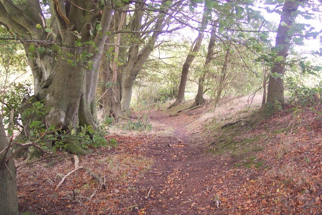 Footpath from Willow Wood to Church Road