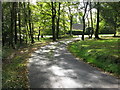 Footpath and private drive merge near Tyes Hatch