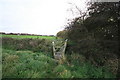 Footbridge Over Drainage Ditch