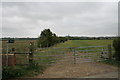 Footpath across the field