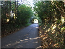 ST2085 : Cefn-Porth Rd, approaching Rudry Rd, Cardiff by John Lord