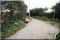 Litter Strewn Public Footpath