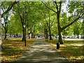 Highbury Fields