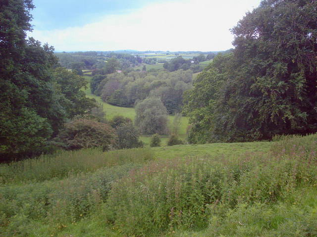 Meadow near Pinford Farm