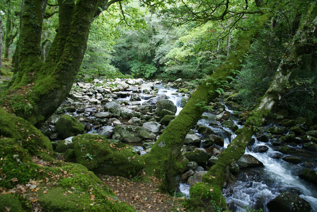 River Plym, Shaugh Bridge © Pierre Terre :: Geograph Britain and Ireland