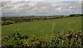 Countryside SW of Ardglass