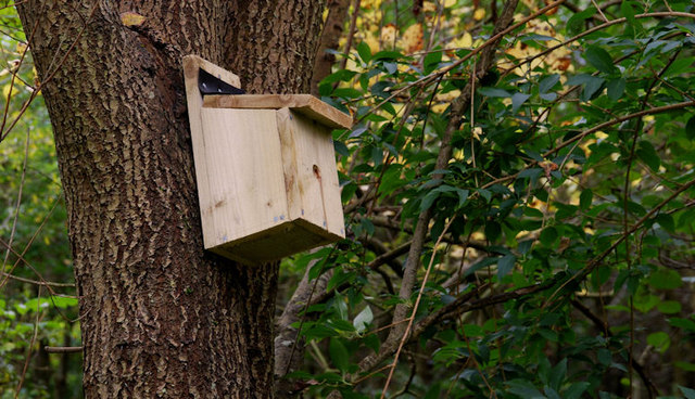 Bird box, Minnowburn near Belfast © Albert Bridge cc-by-sa/2.0 ...