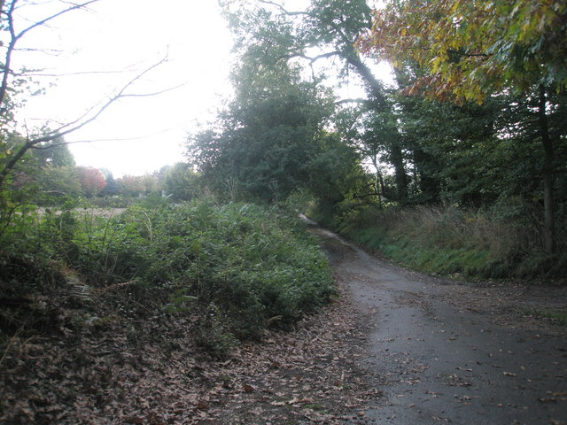 Lane from St Peter, Terwick to the main road
