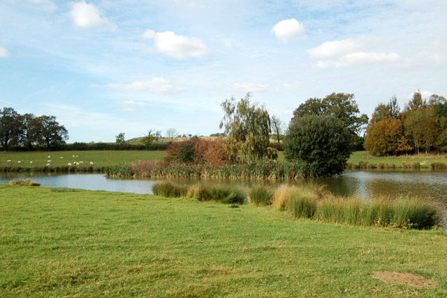 Fishing lake near Northfields Farm (2)