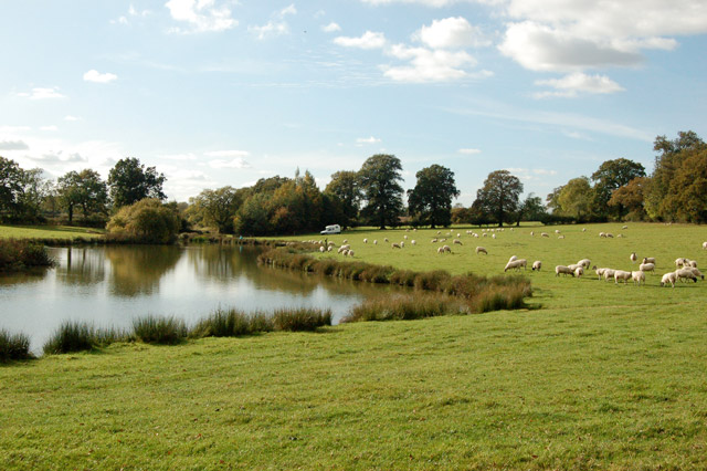 Fishing lake near Northfields Farm (3)