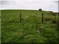 Pastures below Houghtons Farm