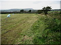 A Field to the North of Brownside