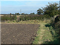 Field footpath