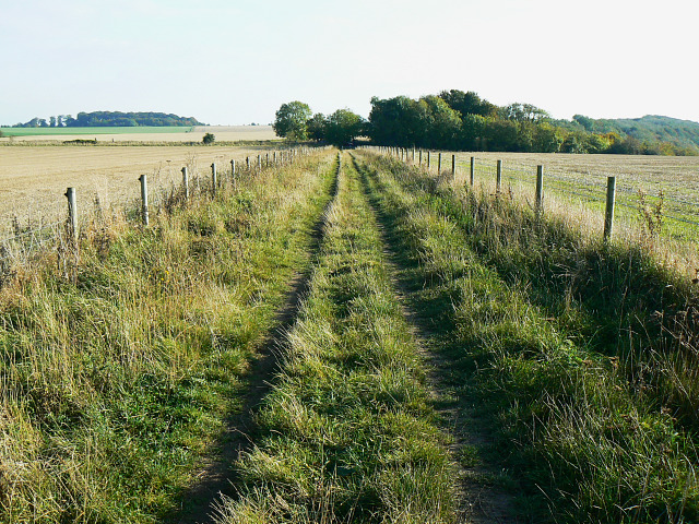 Bridleway to Roundway Hill Covert, Bromham CP