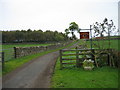 Road leading to West Side Farm, Ryal