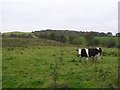 Kilgreel Townland