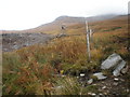 NH2208 : Beinn an Eòin behind old shooting platform in clear fell by Sarah McGuire