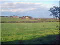 Meadows around Elms Farm