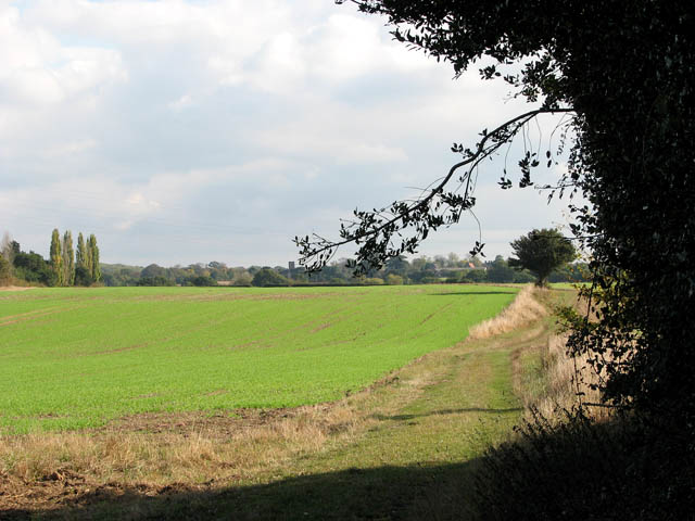 Bridleway to Cooke's Road