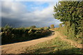 Bend in the bridleway