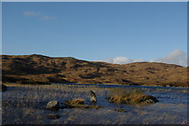 NX4494 : Loch Goosie by Leslie Barrie