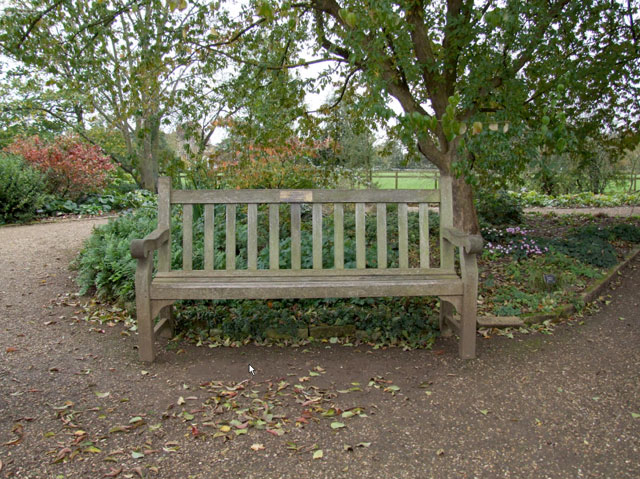 Will and Lyra's bench