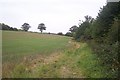 Footpath to Winkhurst Green