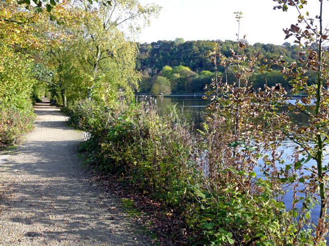 Footpath by the lake