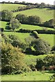 West Looe river valley