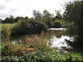 Pond near New Milverton allotments