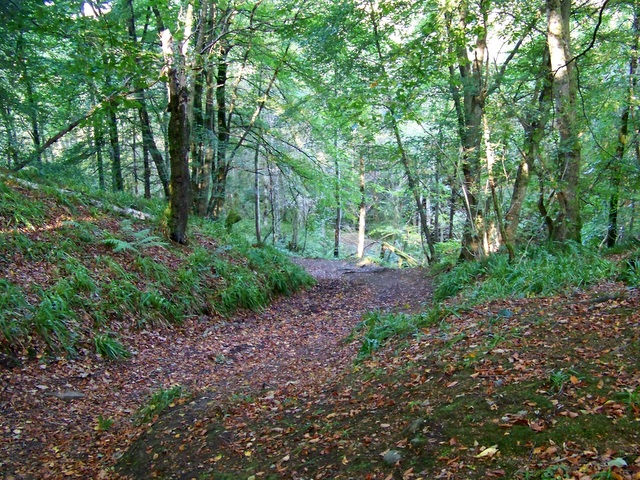 Path, Den o' Alyth