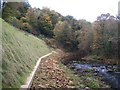 River Bank Repairs, near Middlewood Tavern, Oughtibridge - 10 Months Later