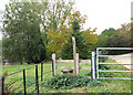 Stile on footpath by Salamanca Farm