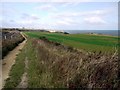 NZ4346 : Durham Coastal Path by Andrew Curtis