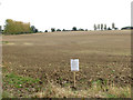 Field south of Chandler Road