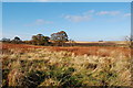 Autumn Countryside