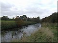 River Trent - upstream at Crown Meadow