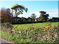 Glan Lleiniog Farm from the Penmon road