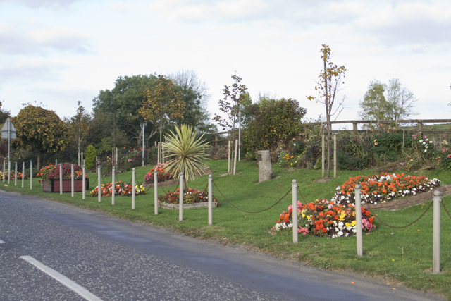 Floral display on the Annareagh Road