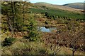 NX3785 : Lochan In Kirriereoch Forest by Mary and Angus Hogg