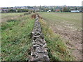 Footpath towards Creswell