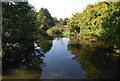 River Medway from Cannon Bridge