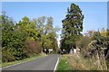 Old Milverton Lane approaches Blackdown roundabout