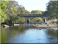 Newton Bridge from upstream