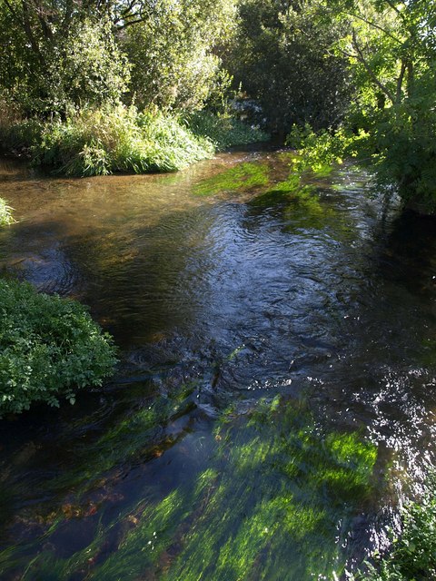 Bickerley Mill Stream