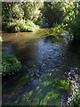 Bickerley Mill Stream