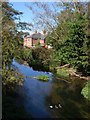 Bickerley Mill Stream