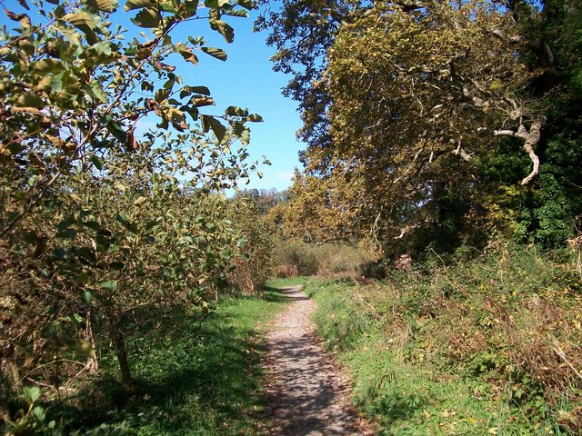 Path through the woodlands below Castell Aberlleiniog