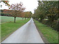 Track to  Northfield House Farm